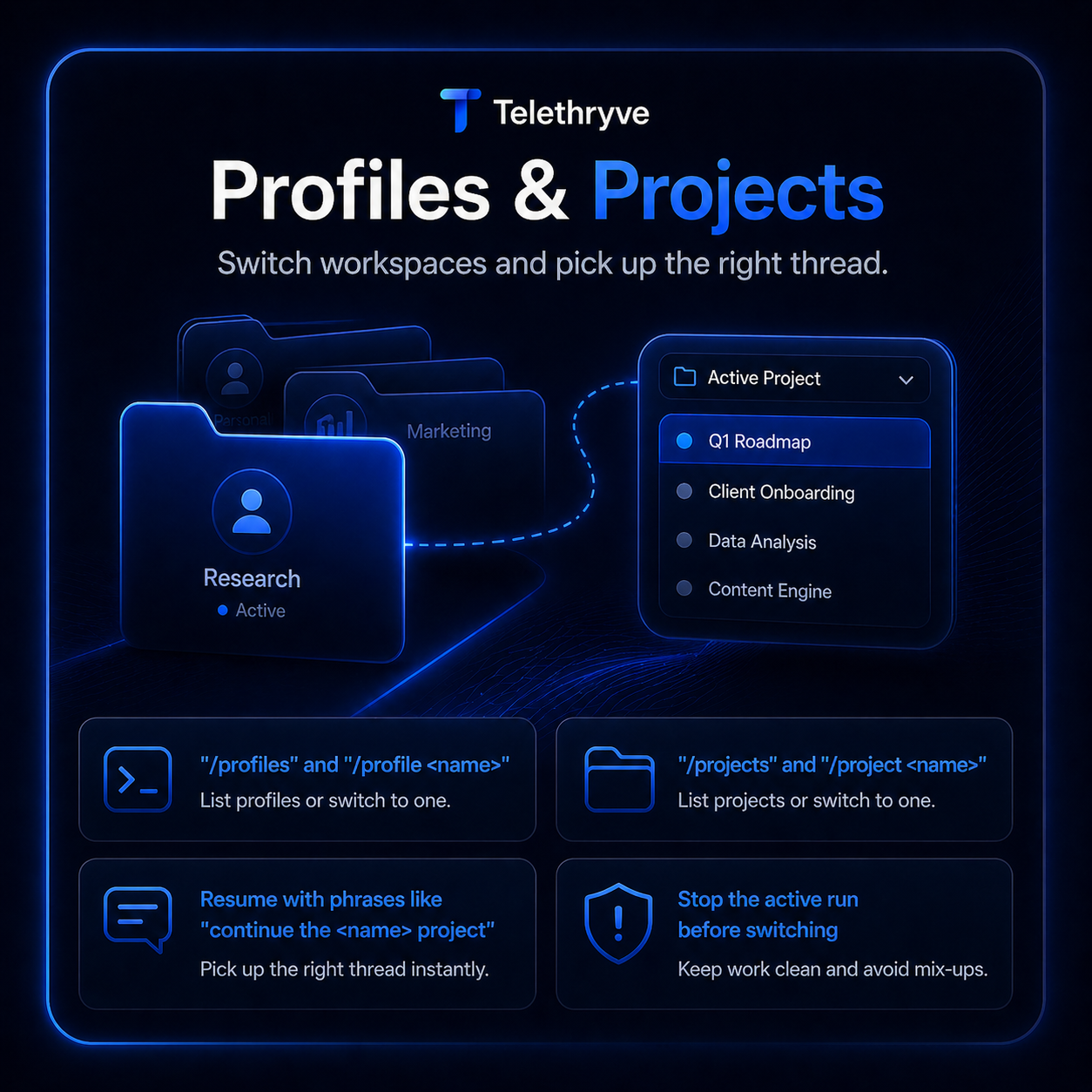 Slide explaining profiles and projects in Telethryve
